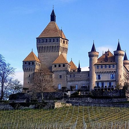 Guest House La Sereine Romanel-sur-Morges 외부 사진