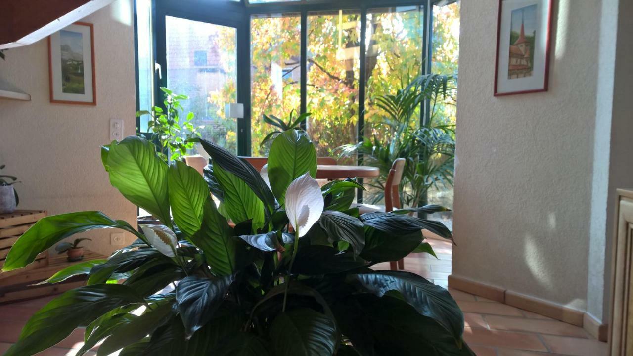 Guest House La Sereine Romanel-sur-Morges 외부 사진